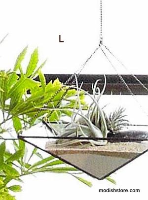 Roost Geo Hanging Terrariums