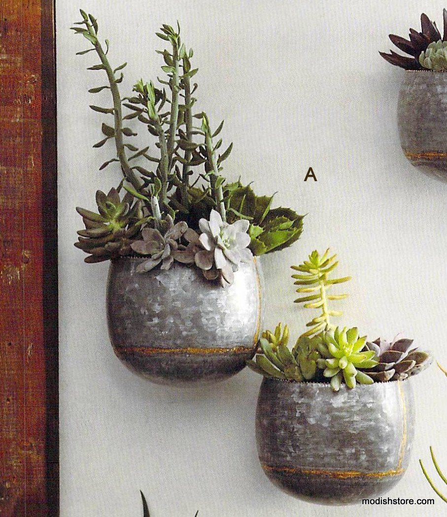 Roost Braza Wall Planters