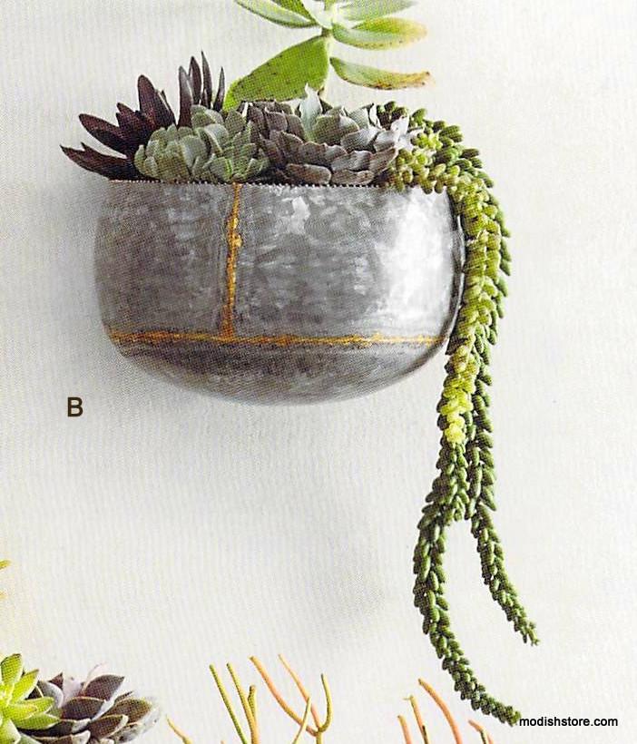 Roost Braza Wall Planters