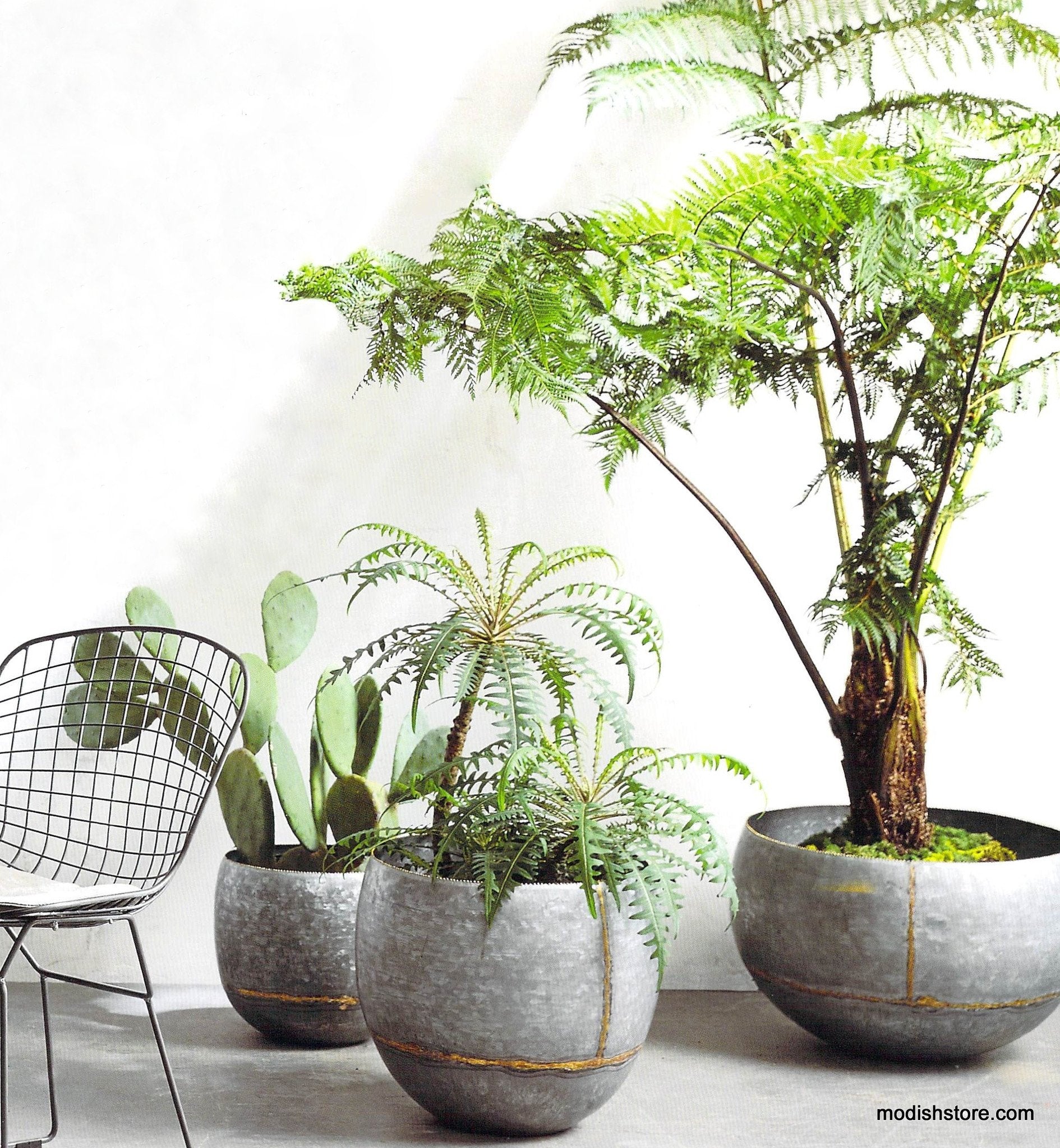 Roost Braza Tall Planter - Set of 2