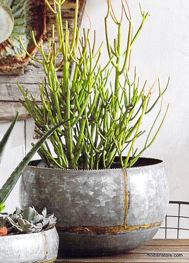 Roost Braza Wide Planter - Set of 3