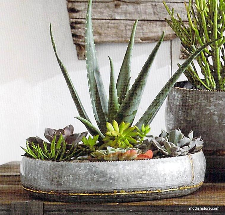 Roost Braza Low Bowls - Set of 3