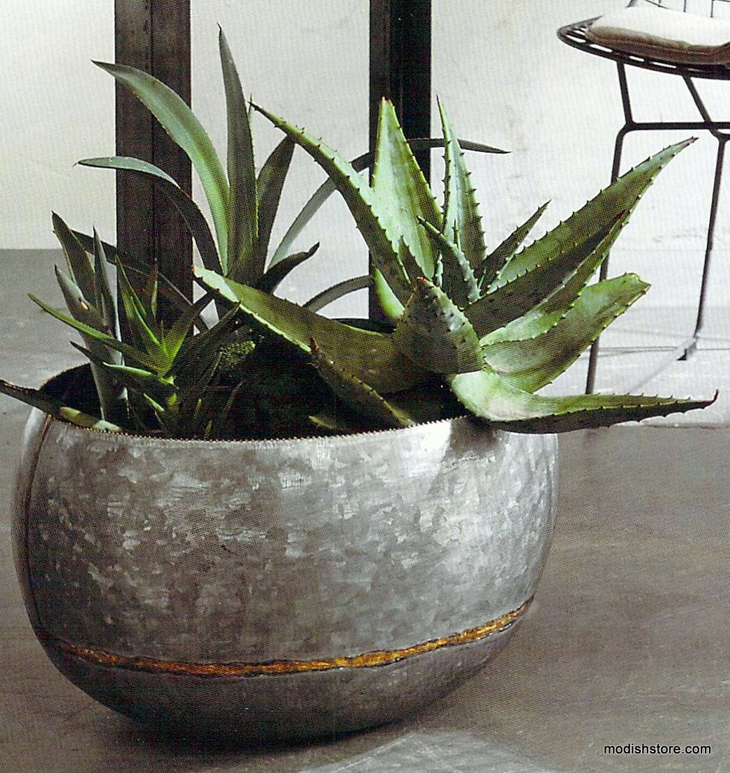 Roost Braza Wide Planter - Set of 3
