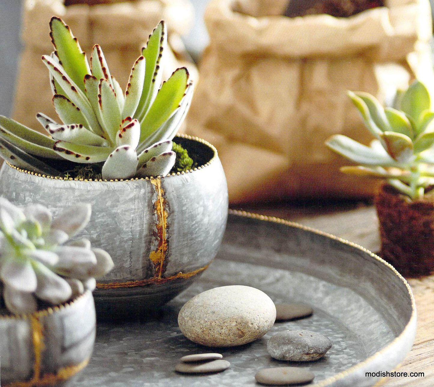 Roost Braza Mini Tall / Wide Planters