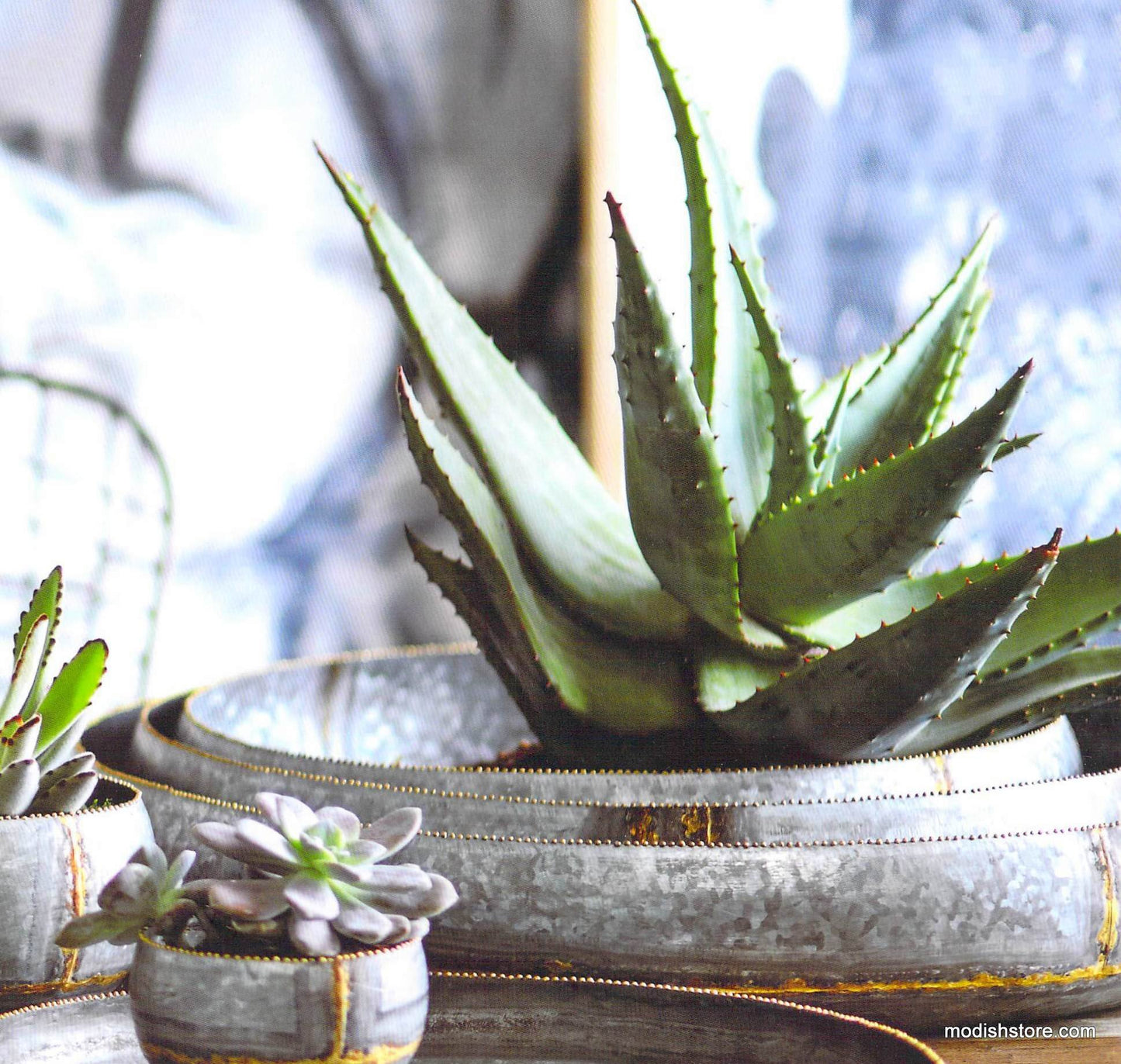 Roost Braza Low Bowls - Set of 3