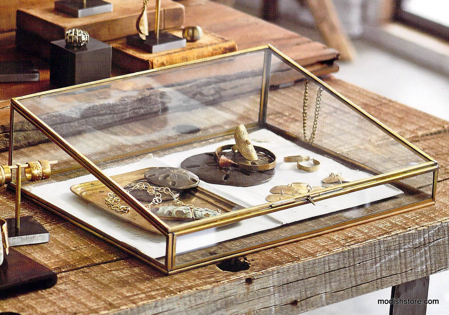 Roost Angled Display Cases