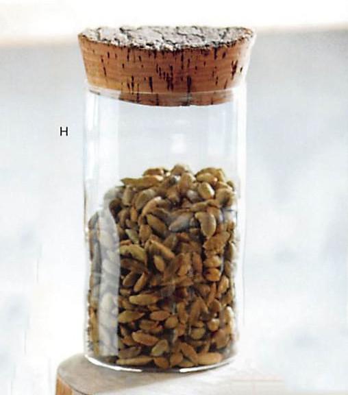 Roost Corked Canisters
