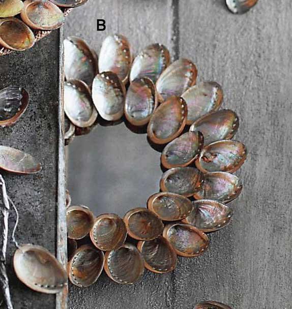 Roost Abalone Shell Candle Plate & Garland