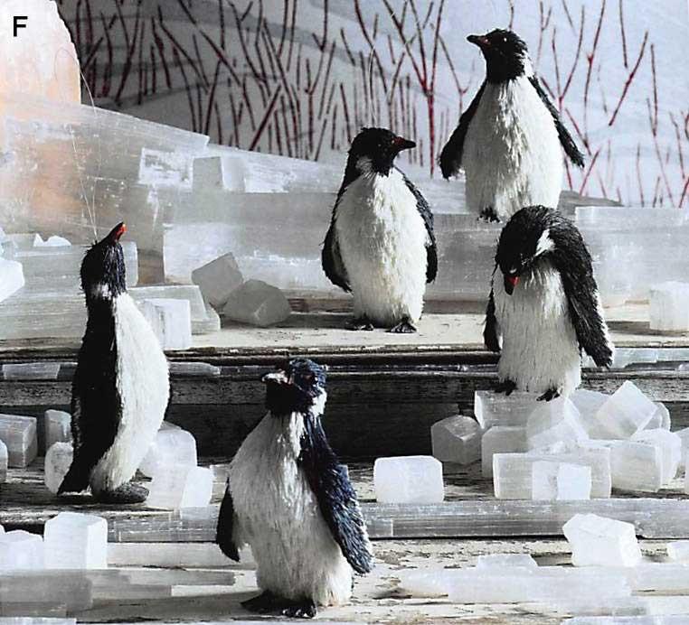 Roost Penguin Ornaments