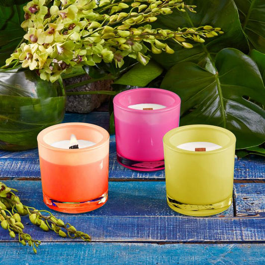 Two's Company Rio Citronella Candle - Set of 3