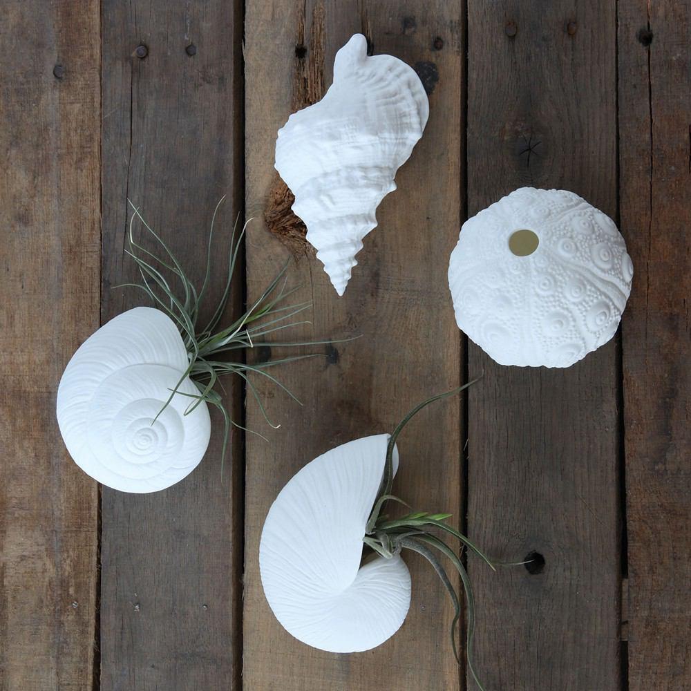 HomArt Seashell Wall Vase Assortment - 2 Each Style - White - Feature Image