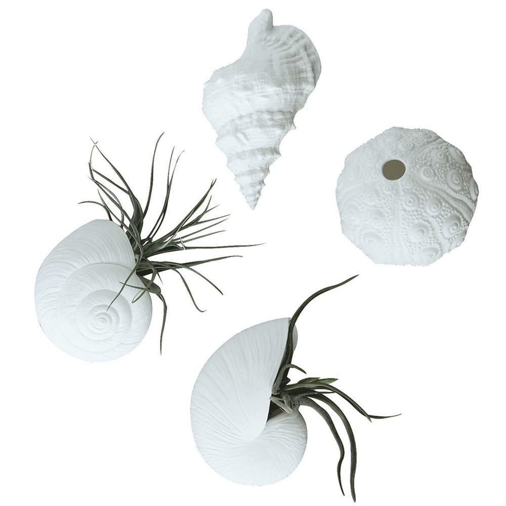 HomArt Seashell Wall Vase Assortment - 2 Each Style - White