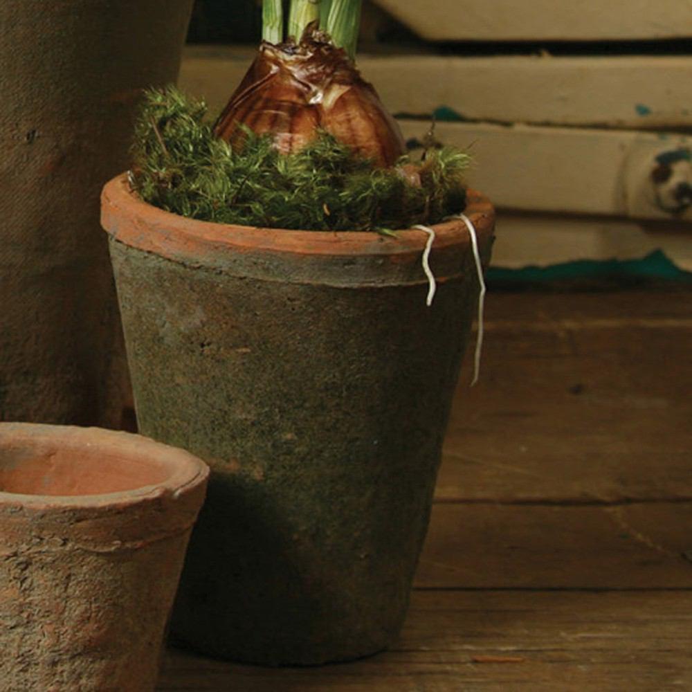 HomArt Rustic Terra Cotta Rose Pot