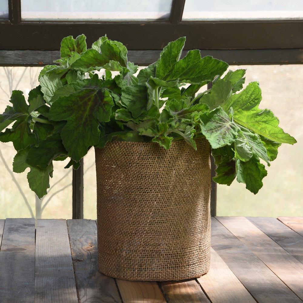 HomArt Burlap Vase - Extra Large - Natural Burlap - Set of 4 - Feature Image