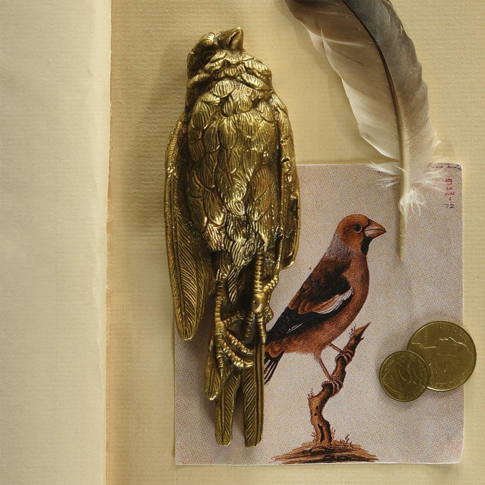 HomArt Still Bird Brass Paperweight - Antique Brass - Feature Image