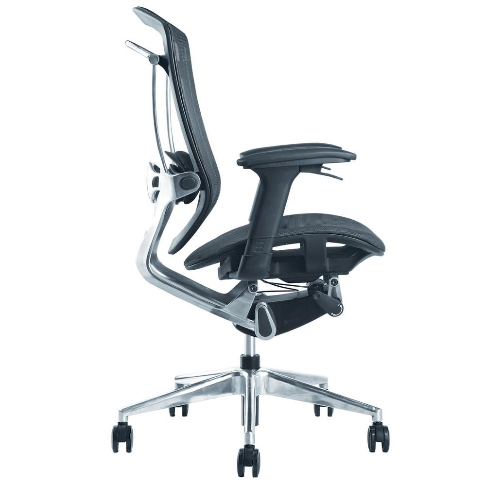 Fine Mod Imports Ergo Fit Highly Adjustable Mesh Office Chair