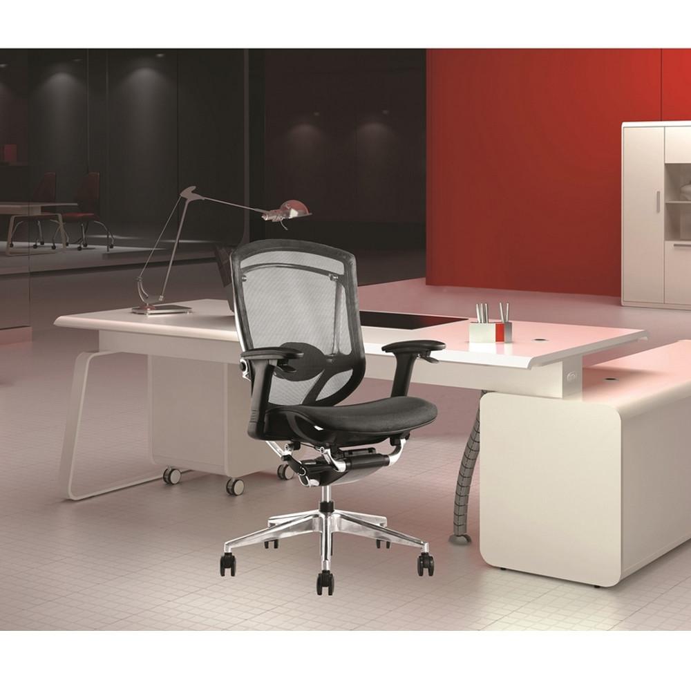 Fine Mod Imports Ergo Fit Highly Adjustable Mesh Office Chair