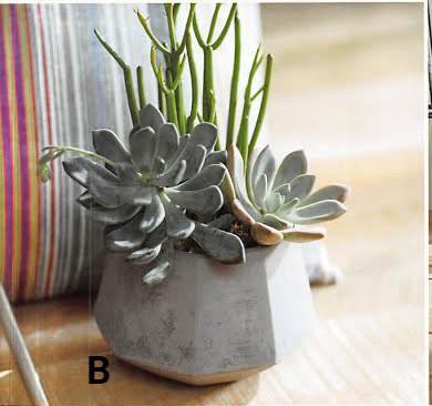 Roost Facet Concrete Planters - Set Of 3