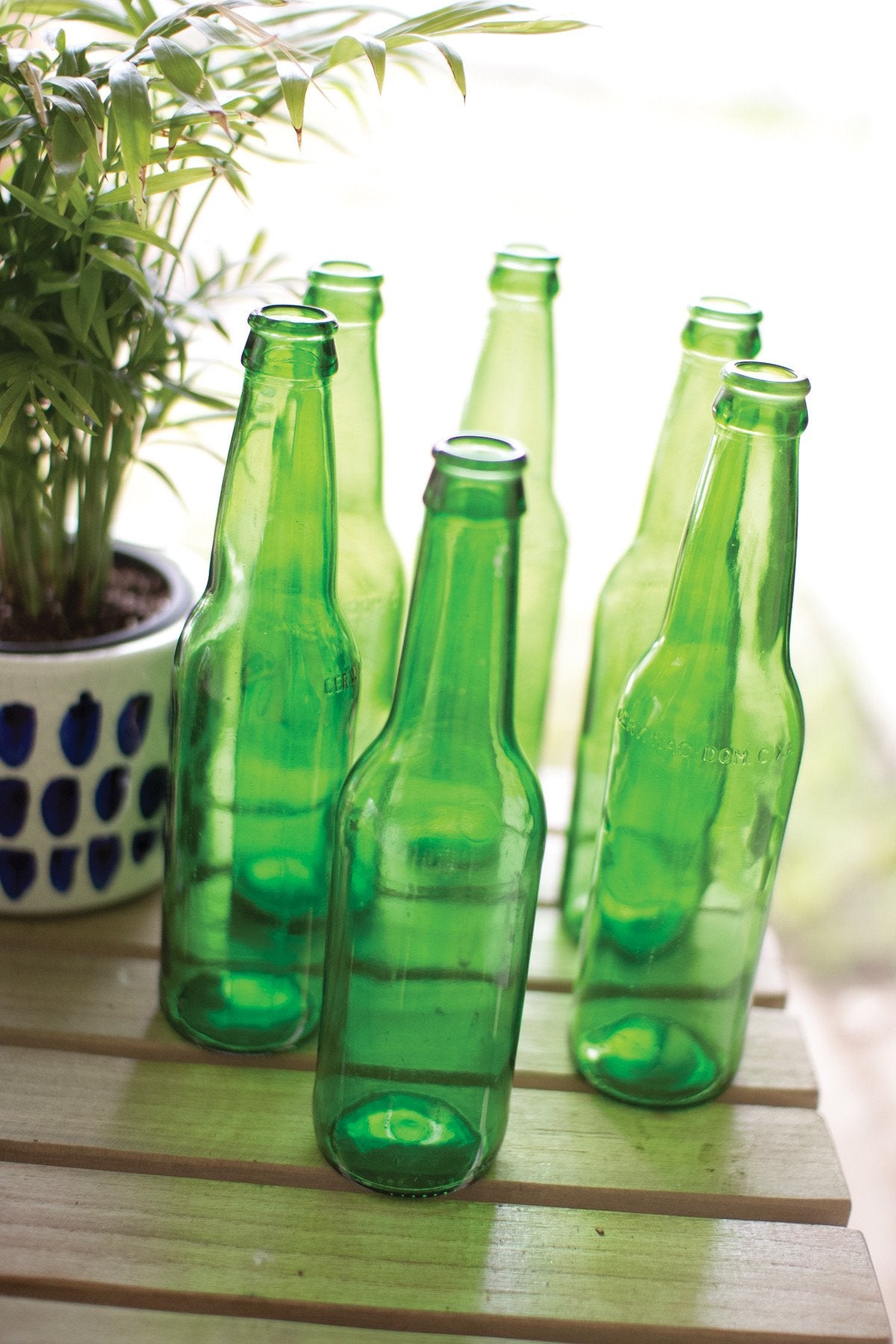 Kalalou Recycled Green Glass Bottle - Set Of 12