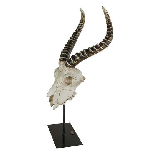 Antelope Skull By Authentic Models