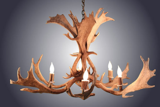 Antlerworx 6 Light Fallow Antler Chandelier (AWC-23)