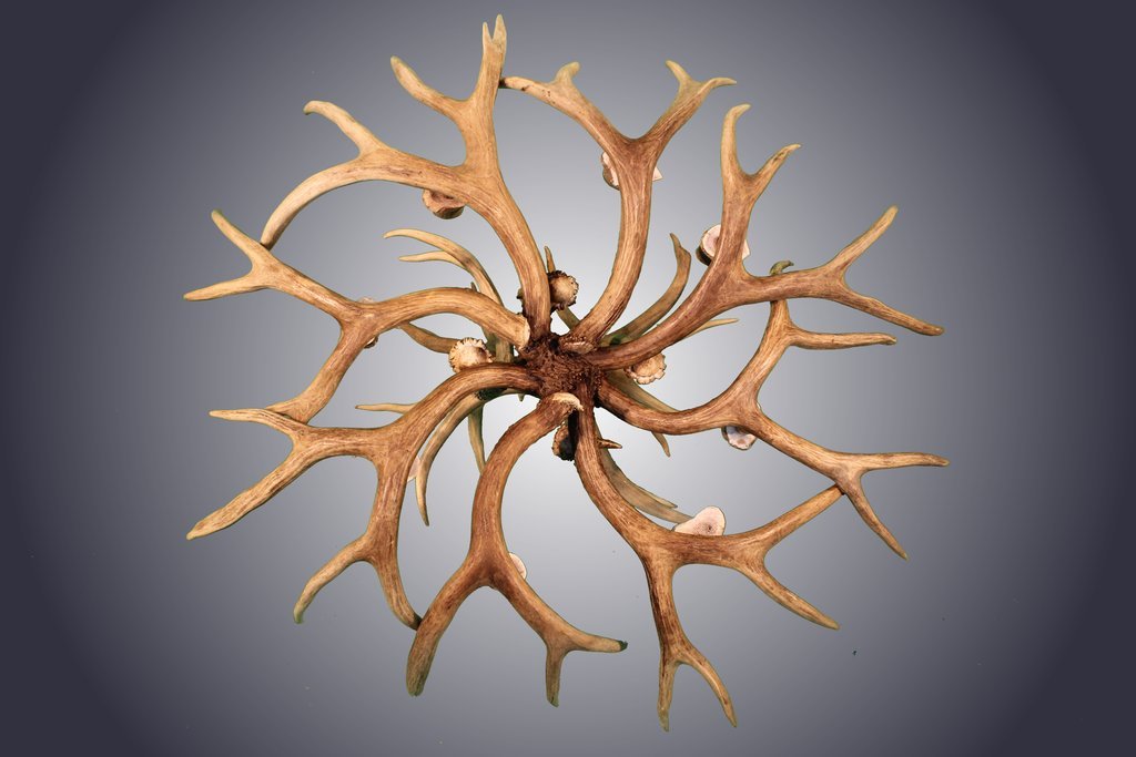 Antlerworx 8 Light Mule Deer Antler Chandelier (AWC-4)