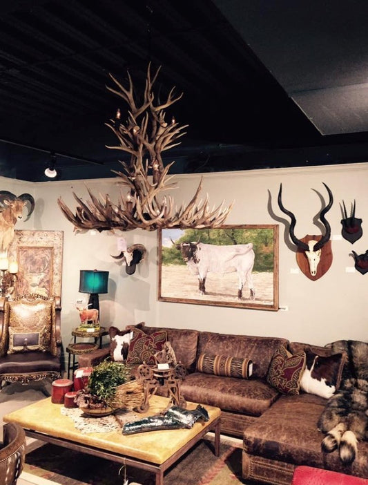 Antlerworx 15 Light European Style Mule Deer Antler Chandelier (AWC-70)