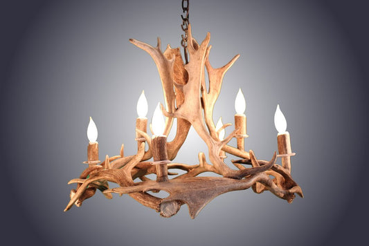 Antlerworx 6 Light Fallow Ring Antler Chandelier (AWC-89)
