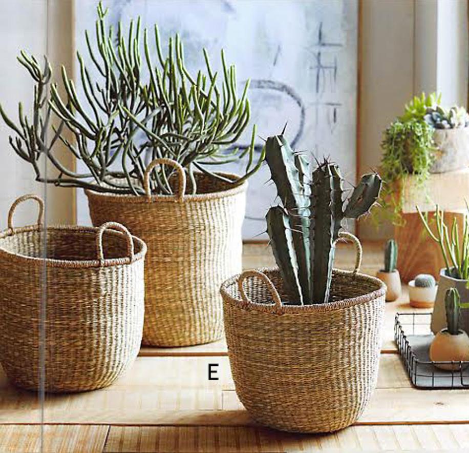 Roost Seagrass Fine Weave Baskets - Set Of 3