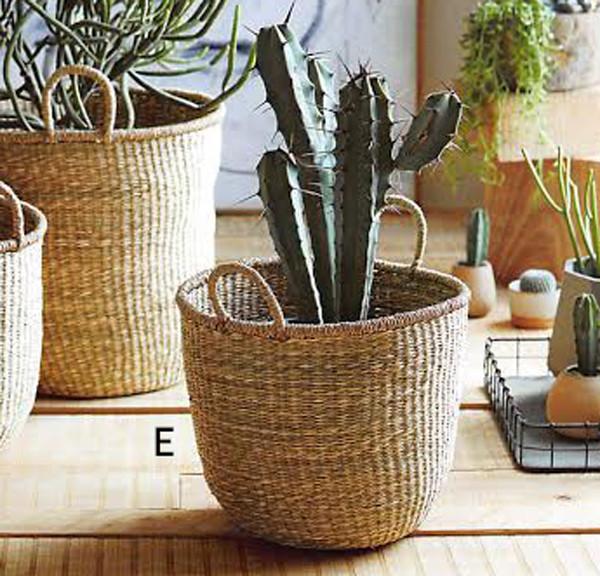 Roost Seagrass Fine Weave Baskets - Set Of 3