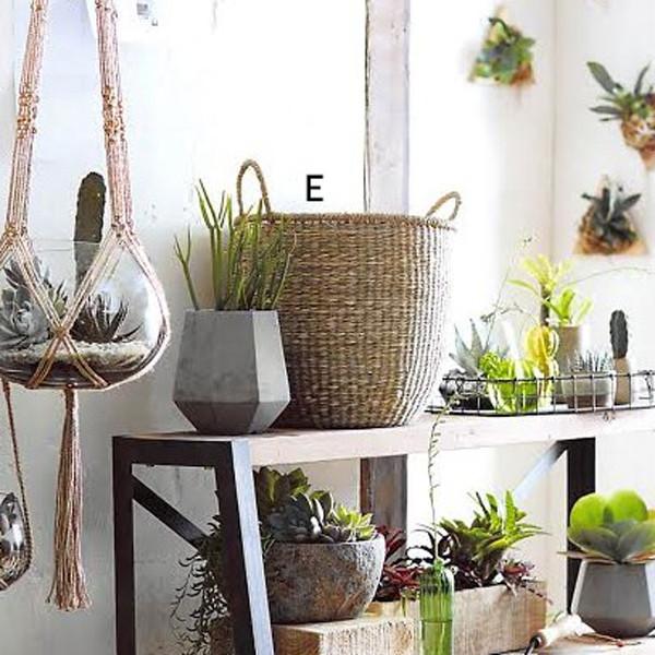 Roost Seagrass Fine Weave Baskets - Set Of 3