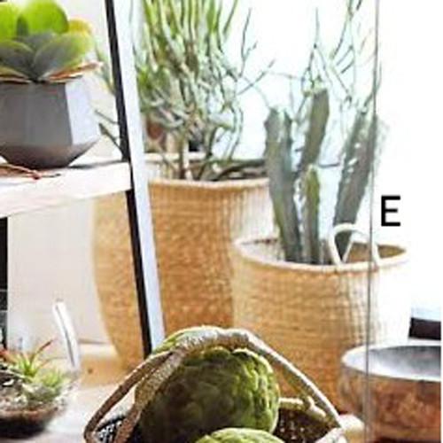 Roost Seagrass Fine Weave Baskets - Set Of 3