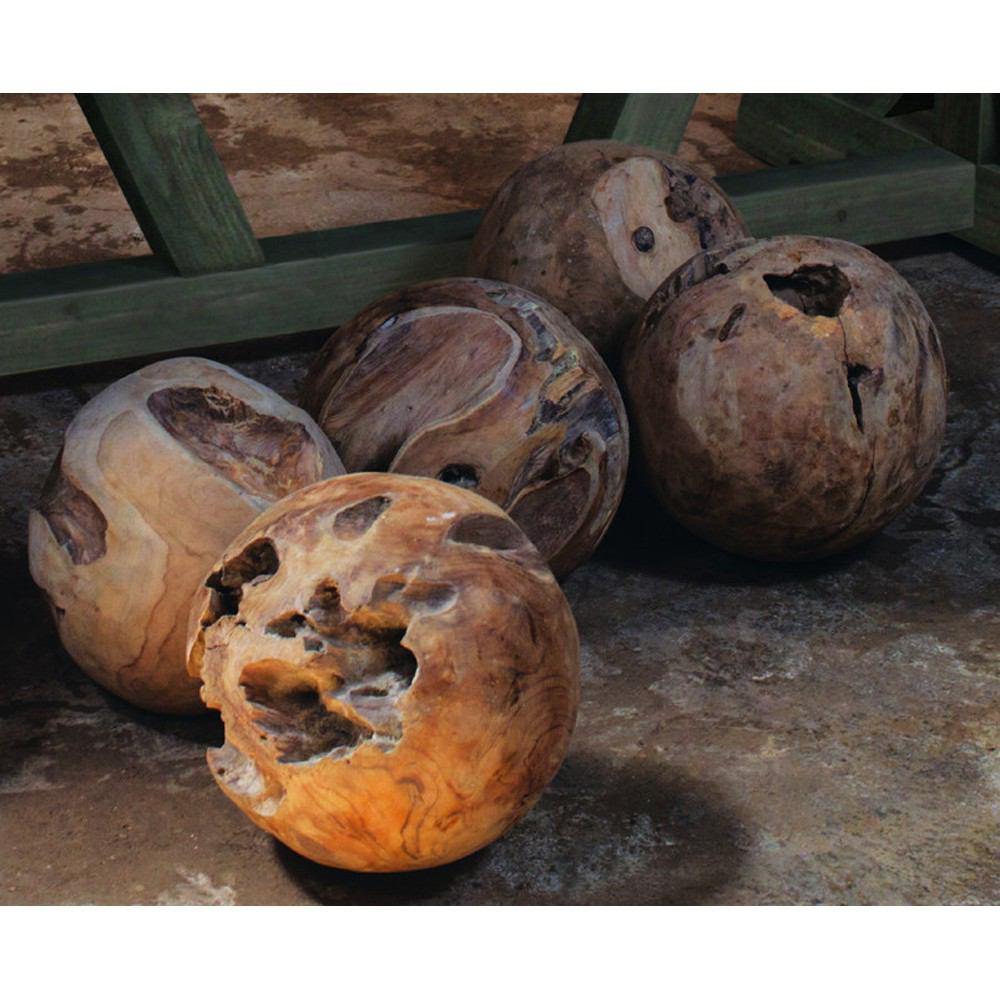 Padma's Plantation Teak Root Ball