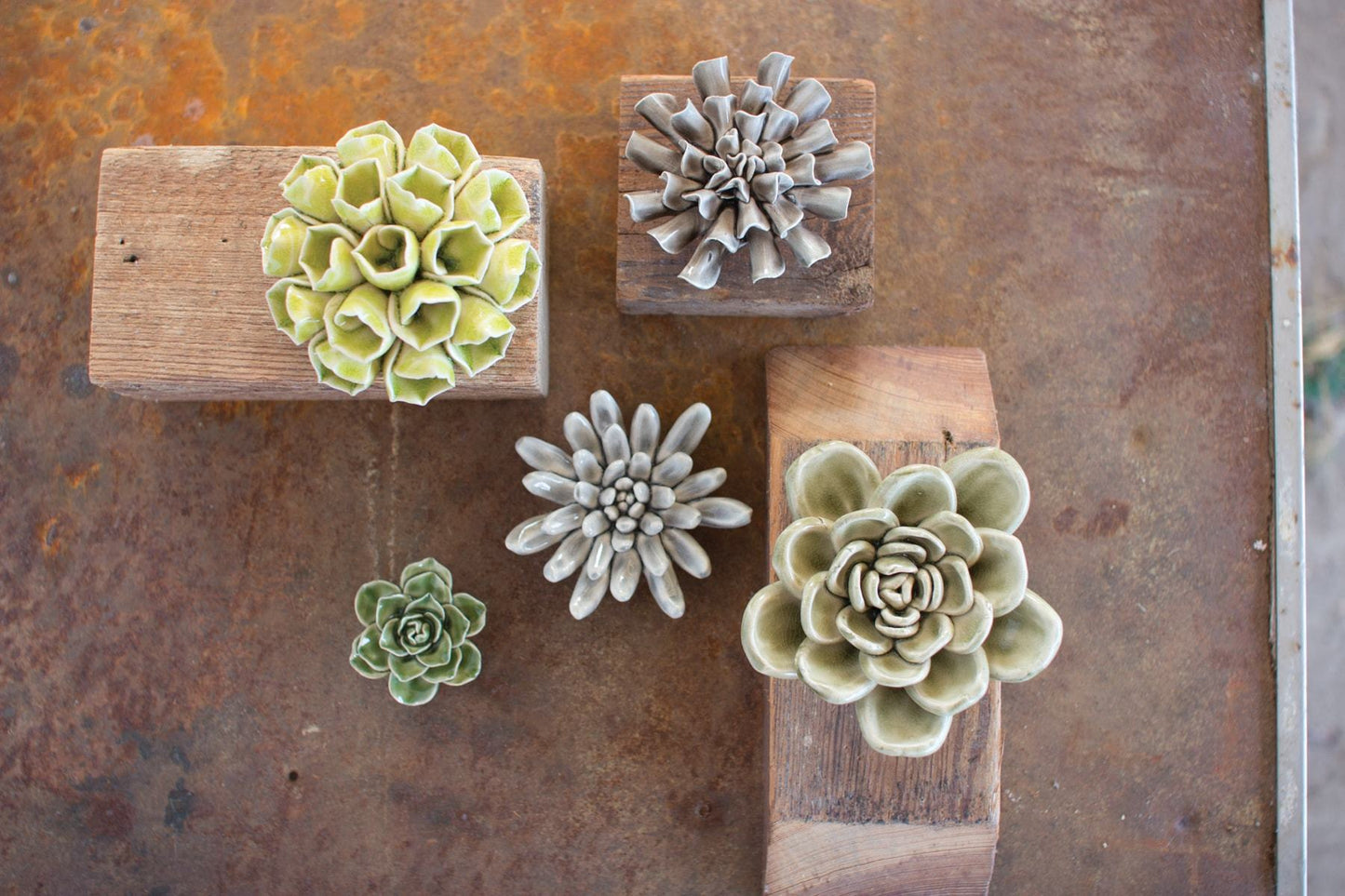 Kalalou Set Of 5 Greys And Greens Ceramic Succulents