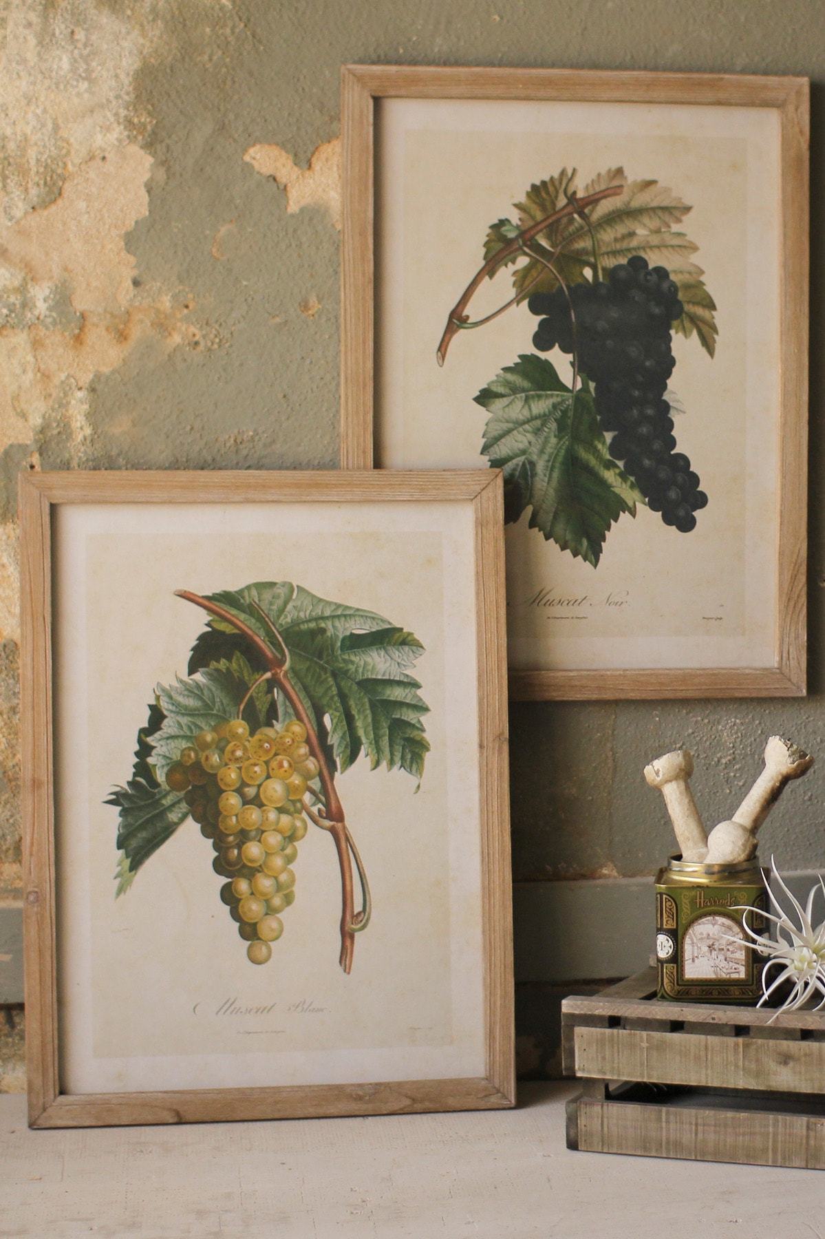 Kalalou Set Of 2 Framed Grape Prints Under Glass