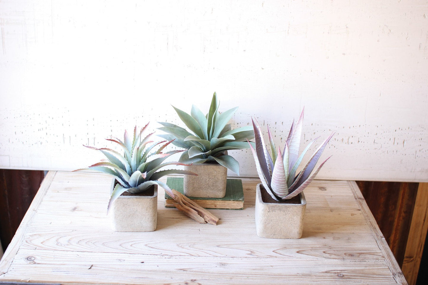 Kalalou Large Artificial Succulents In Square Pots - Set Of 3
