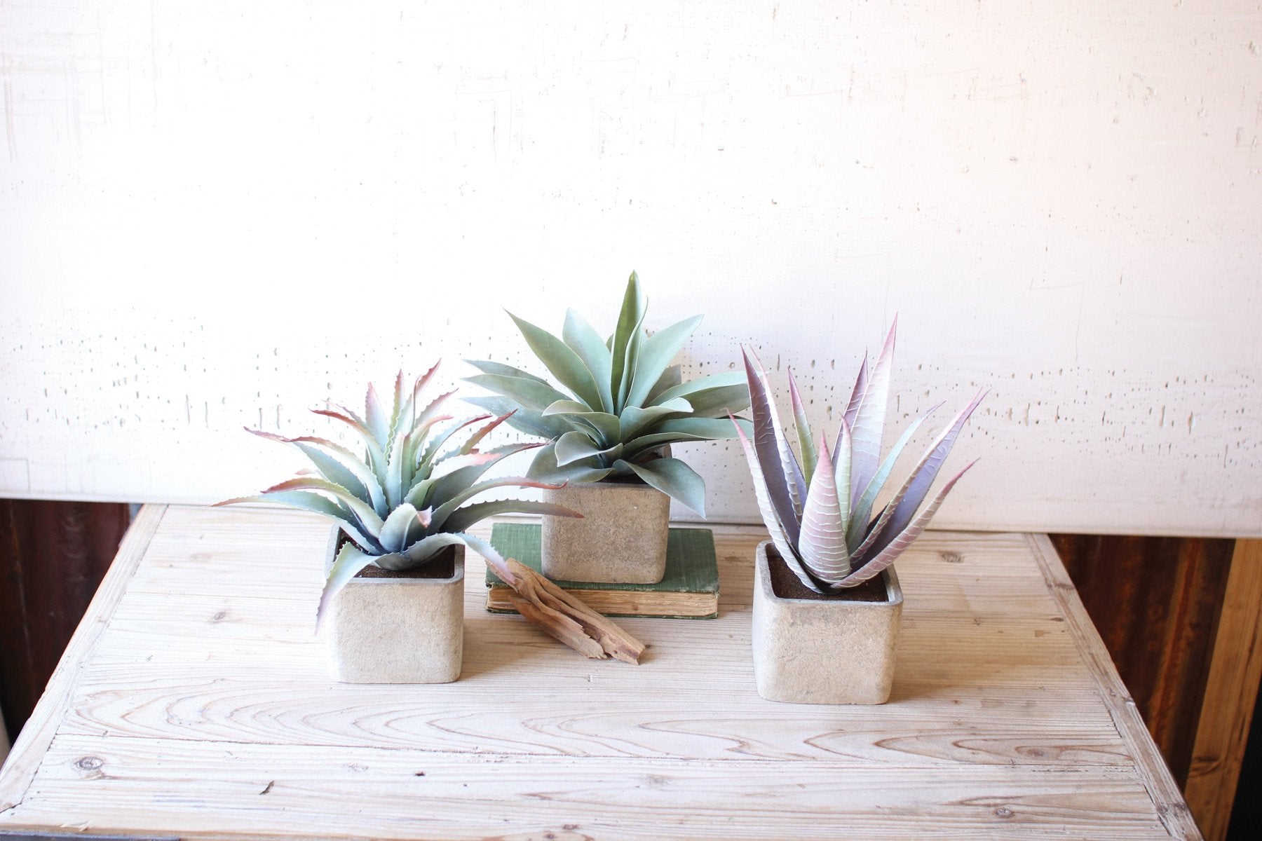 Kalalou Large Artificial Succulents In Square Pots - Set Of 3