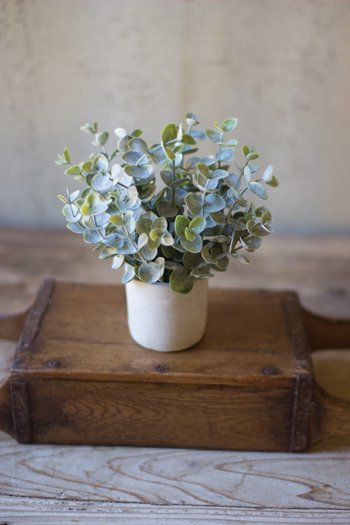 Kalalou Boxwood Sage Plant IN Concrete Pot - Set of 4