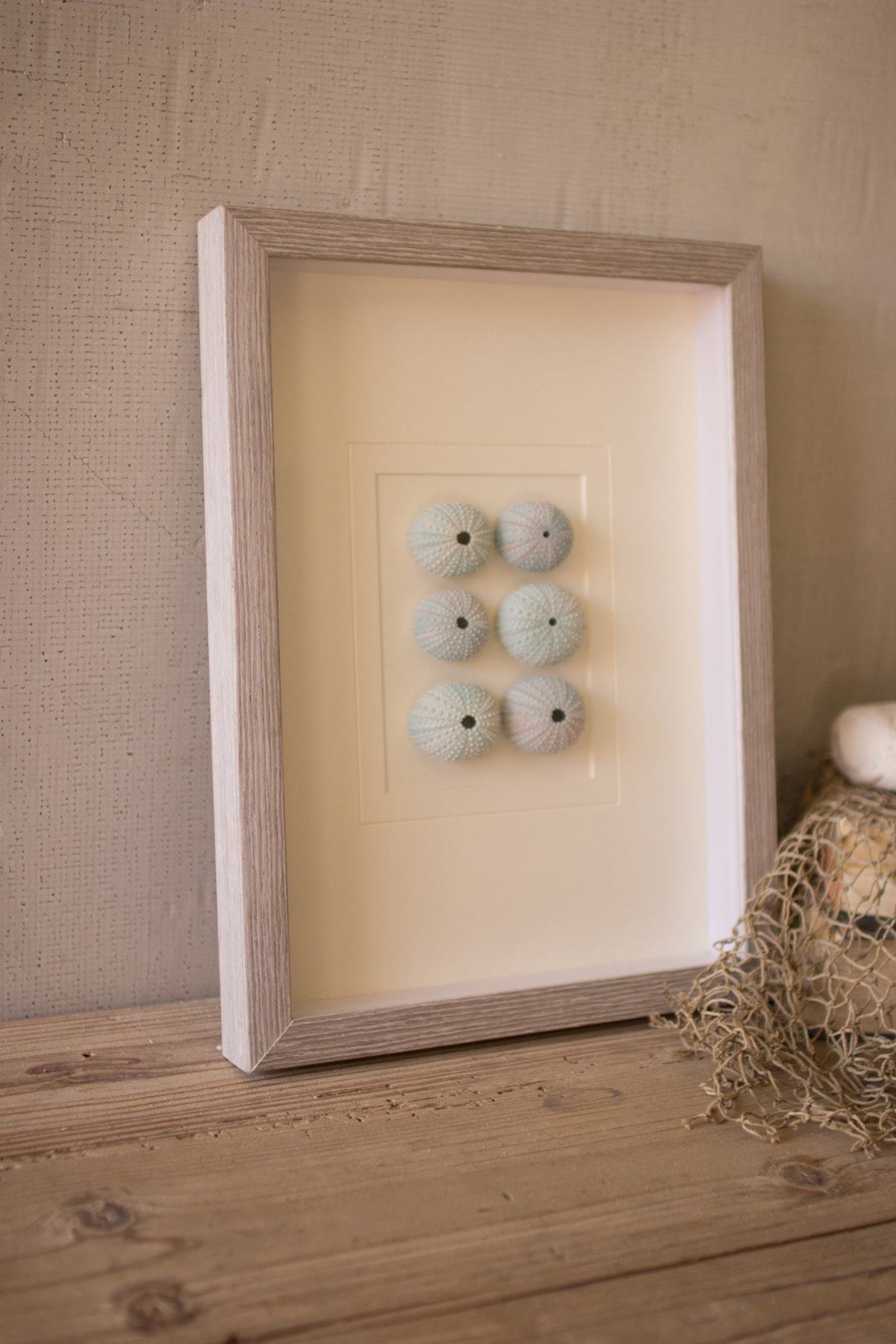 Kalalou Set Of 6 Framed Shells Under Glass