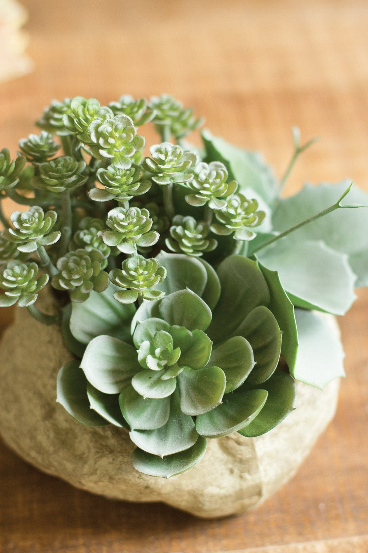Kalalou Artificial Assorted Succulent Garden In A Paper Pot
