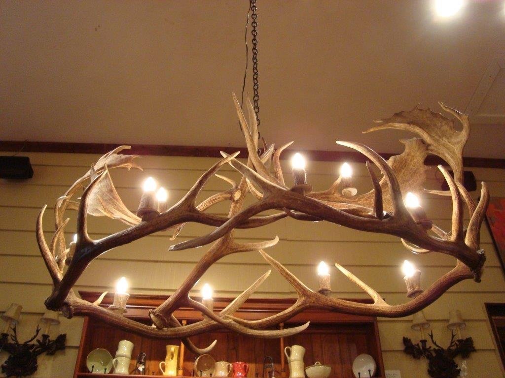Antlerworx 10 Light Elk/Fallow Oval Antler Chandelier (AWC-28)