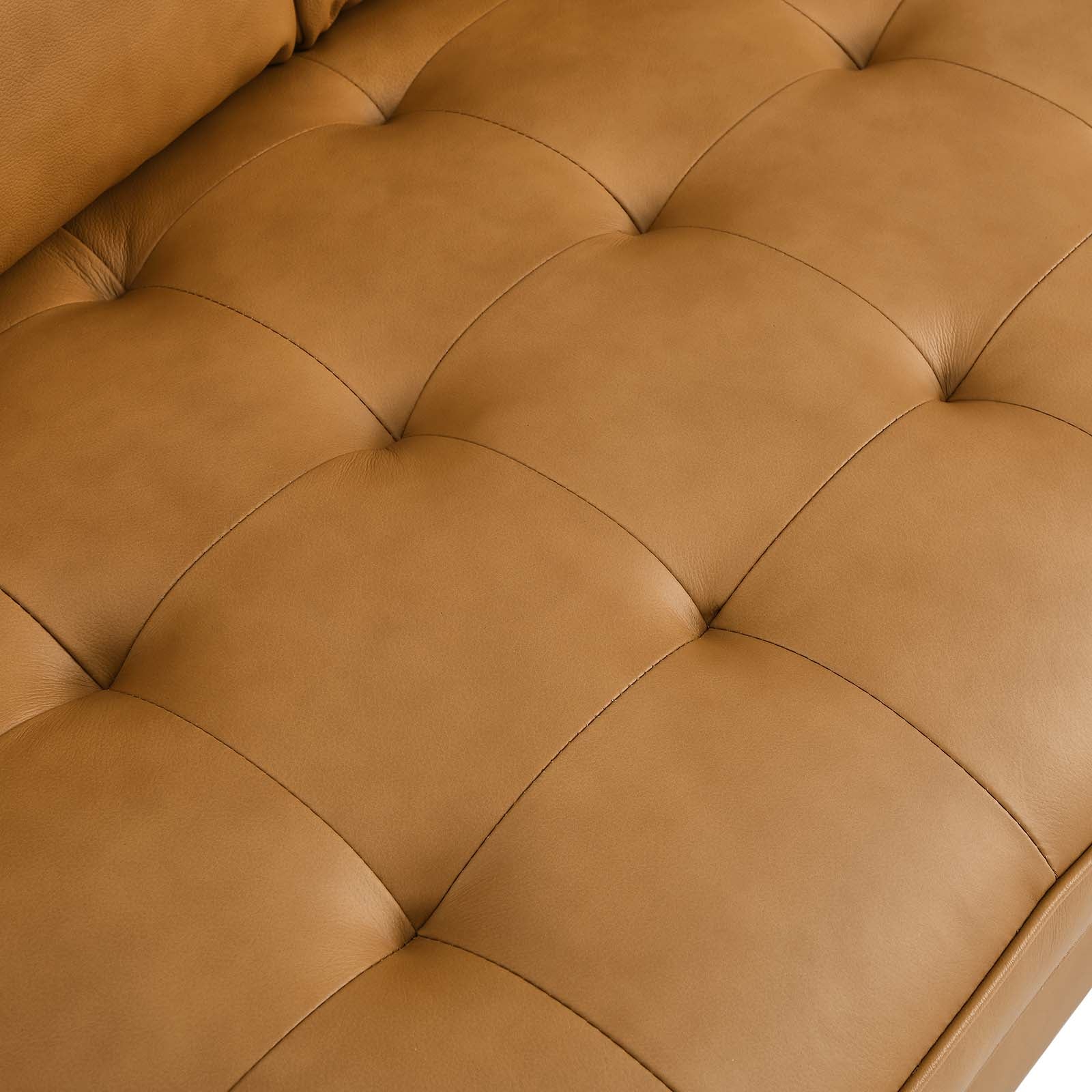 Valour Leather Loveseat By Modway - EEI-5870 | Loveseats | Modishstore - 22