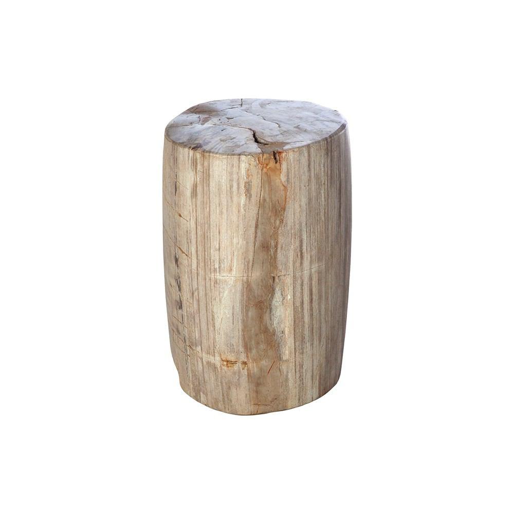 Control Brand Petrified Wood Side Table