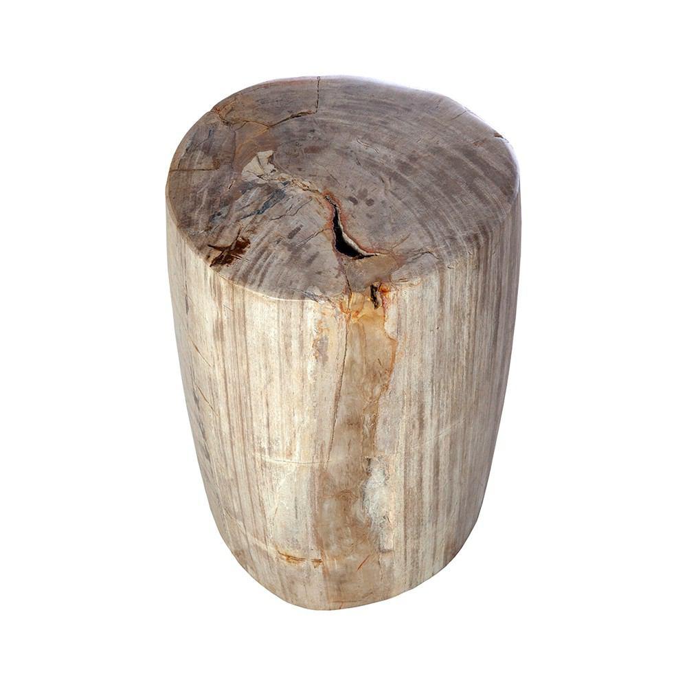 Control Brand Petrified Wood Side Table