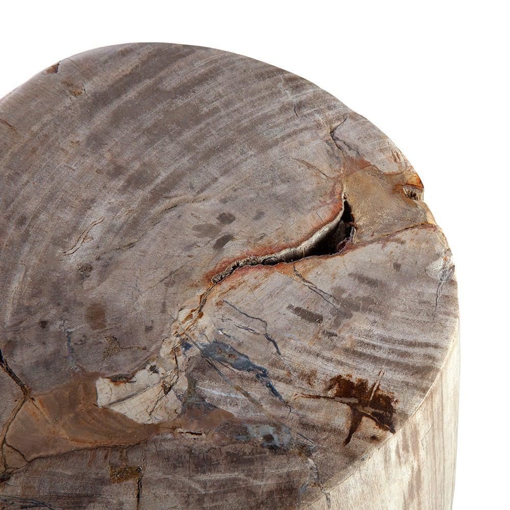 Control Brand Petrified Wood Side Table