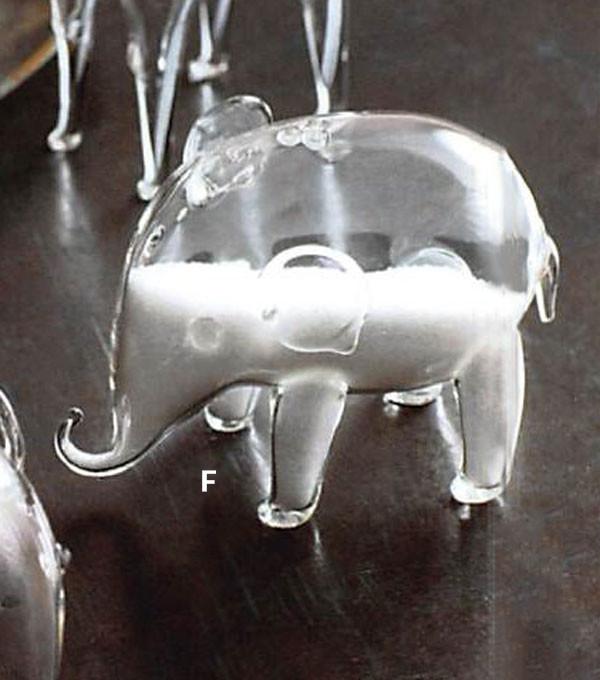 Roost Safari Salt & Pepper Shakers - Set of 6
