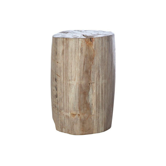 Control Brand Petrified Wood Side Table