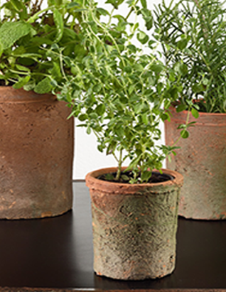 Saro Clay Cachepot Planters, Troughs & Cachepots, Saro, - Modish Store