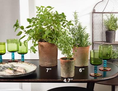Saro Clay Cachepot Planters, Troughs & Cachepots, Saro, - Modish Store