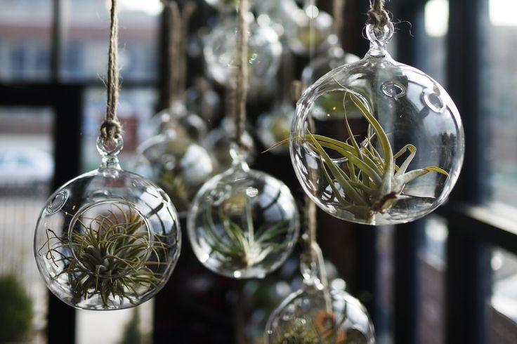 Hanging Glass Orb Terrarium/ Candle Holder Set(12Pcs) by Artisan Living Candle Holders, Artisan Living, - Modish Store